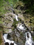 4.30.06 Hamilton Mountain 029 